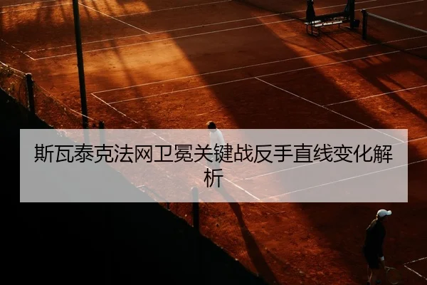 si-wa-tai-ke-fa-wang-wei-mian-guan-jian-zhan-fan-shou-zhi-xian-bian-hua-jie-xi-2-438.jpg