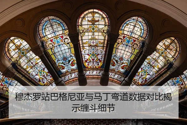 穆杰罗站巴格尼亚与马丁弯道数据对比揭示缠斗细节