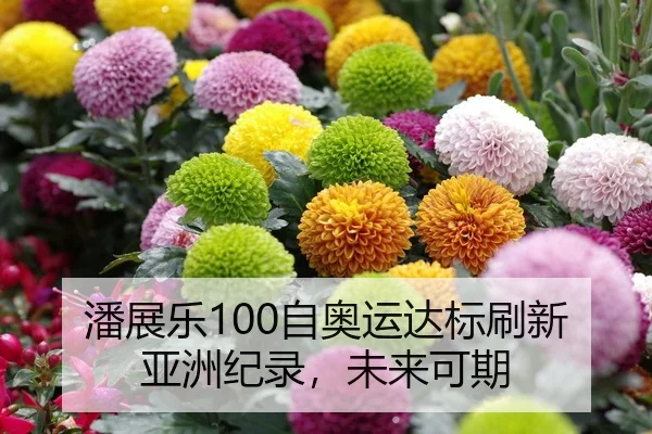 潘展乐100自奥运达标刷新亚洲纪录，未来可期