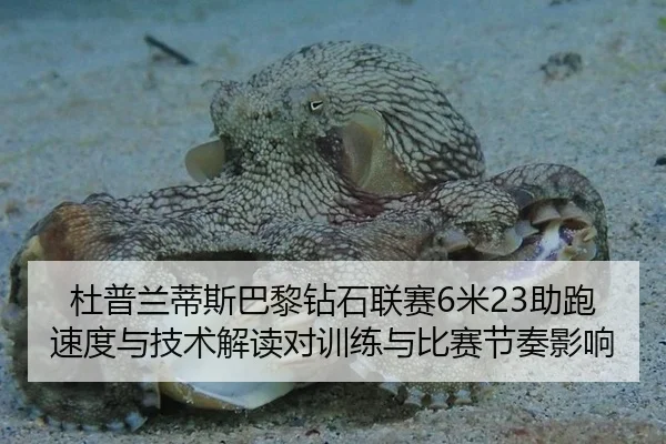 杜普兰蒂斯巴黎钻石联赛6米23助跑速度与技术解读对训练与比赛节奏影响