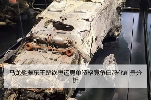 马龙樊振东王楚钦奥运男单资格竞争白热化前景分析